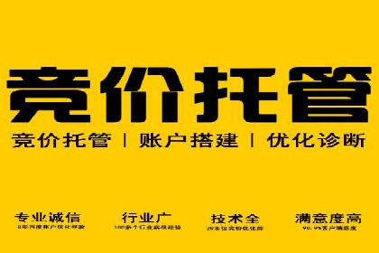 百度竞价SEM深度解析：某行业成功推广经验